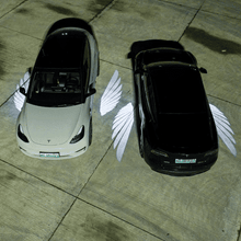 Load image into Gallery viewer, Angel Wings Rearview Mirror Welcome Light for Model 3 Highland &amp; Model Y Juniper | TESERY