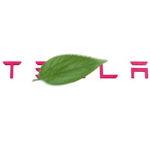 Load image into Gallery viewer, Tailgate Lettered Rear Logo Replacement For Tesla Model 3/Y