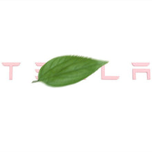 Load image into Gallery viewer, Tailgate Lettered Rear Logo Replacement For Tesla Model 3/Y