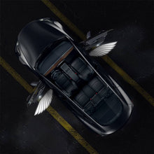 Load image into Gallery viewer, TESERY Angel Wings Door Welcome Lights for Model 3/Y/S/X