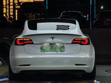 Load image into Gallery viewer, TESERY Dragon Scale Tail Lights for Model 3/Y