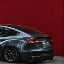 Load image into Gallery viewer, TESERY Dragon Scale Tail Lights for Model 3/Y