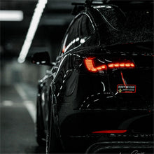 Load image into Gallery viewer, TESERY Dragon Scale Tail Lights for Model 3/Y