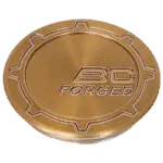 Satin Brushed Champagne Bronze BC Forged finish
