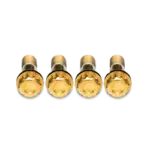 Gold BC Forged hardware