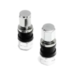 Polished stainless valve